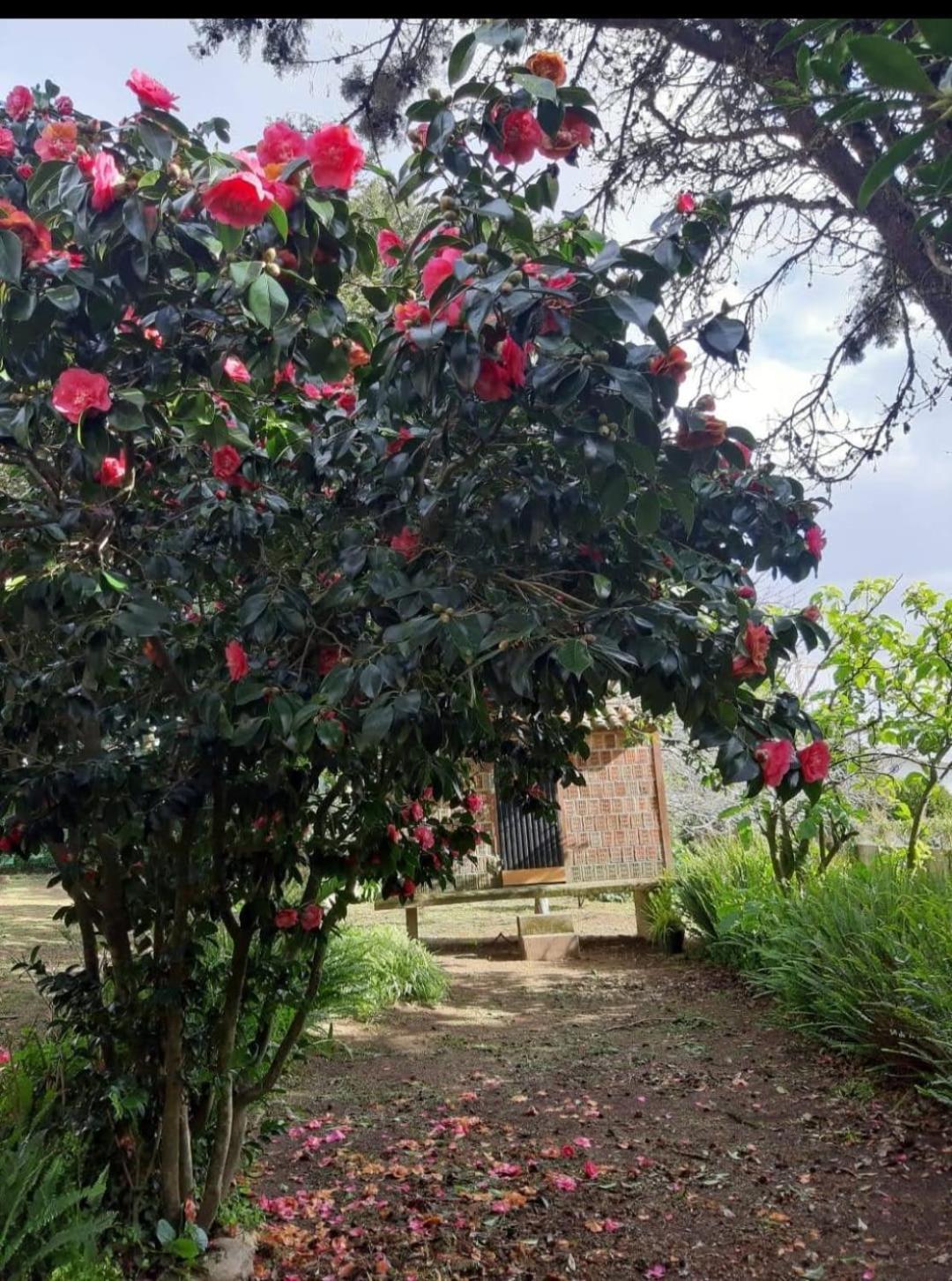 Casa Tina Villa A Guarda Kültér fotó